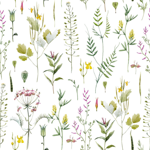 Beautiful vector seamless pattern with watercolor wild field summer flowers - Vector, Image