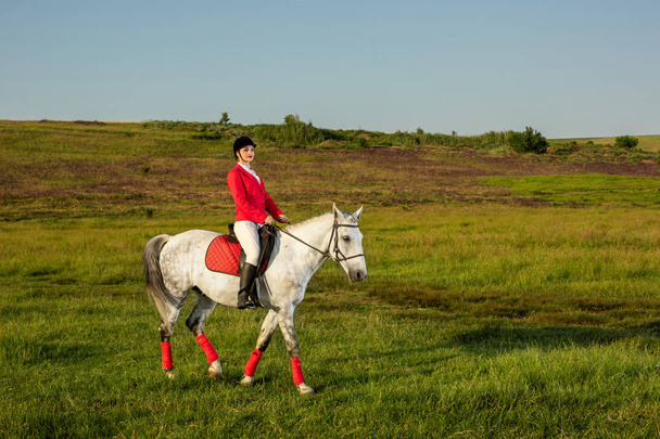 Joven jinete, vestida de rojo rojizo y calzones blancos, con su caballo a la luz del atardecer
. - Foto, imagen