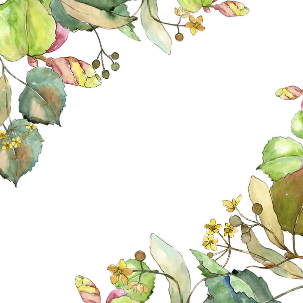 Linden leaves in a watercolor style. Frame border ornament square. Aquarelle leaf for background, texture, wrapper pattern, frame or border. - Foto, Imagem
