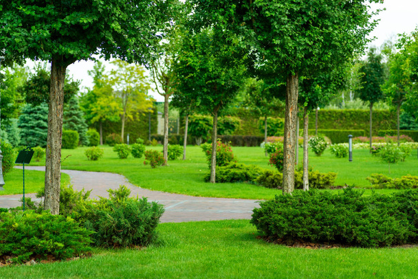 A path of tiles in a green park with a landscape design - Foto, Imagem