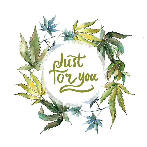 A cannabis verde sai em um estilo aquarela. Quadro borda ornamento quadrado. Folha de aquarelle para fundo, textura, padrão de invólucro, quadro ou borda
. - Foto, Imagem