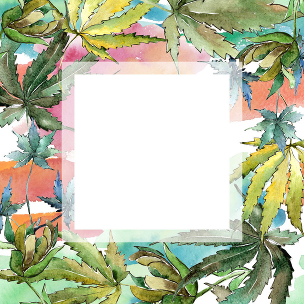 Green cannabis leaves in a watercolor style. Frame border ornament square. Aquarelle leaf for background, texture, wrapper pattern, frame or border. - Foto, Imagem