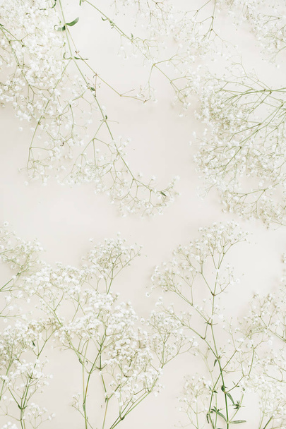 Λευκό γυψοφίλης λουλούδι μπουκέτο μοτίβο. Εορταστική φόντο επίπεδη lay, κορυφαία προβολή. - Φωτογραφία, εικόνα