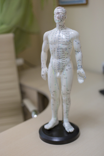 Alternative medicine and east asian healing methods concept with acupuncture dummy model with copy space. Acupuncture is the practice of inserting needles in the subcutaneous tissue, skin and muscles - Photo, Image