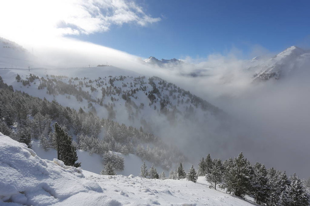 la cima delle montagne con la foresta coperta di neve, nebbia e nuvole in una giornata soleggiata e gelida
 - Foto, immagini