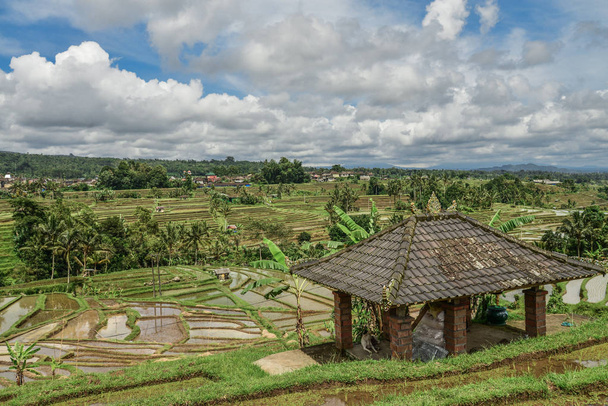 Green rice fields on Bali island, Jatiluwih near Ubud, Indonesia - Photo, Image