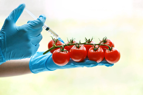 Hands with syringe injecting and red tomatoes  - Фото, изображение