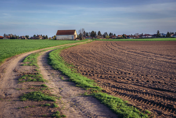Road among fields near Rabensburg, small town in Austria near the Slovakian border - Photo, Image