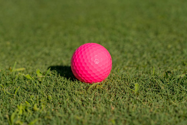 Ροζ γκολφ μπάλα στην άκρη του Τρεναζέρ - Φωτογραφία, εικόνα