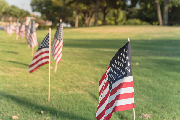 Alineado banderas americanas en césped de hierba verde soplan en el viento. Grupos de Estados Unidos ondeando banderas en un parque empresarial símbolo patriótico de la libertad. Celebración del Día de la Independencia en Plano, Texas, EE.UU.
. - Foto, Imagen