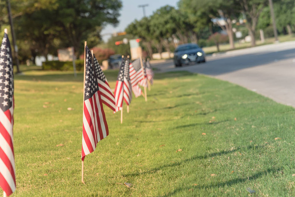 Banderas americanas en césped verde Día de la Independencia del césped
 - Foto, Imagen
