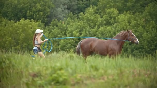 Mujer joven corriendo en el campo de verano con un caballo
 - Imágenes, Vídeo