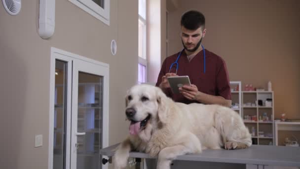 Tierarzt arbeitet an digitalem Tablet-PC in Klinik - Filmmaterial, Video