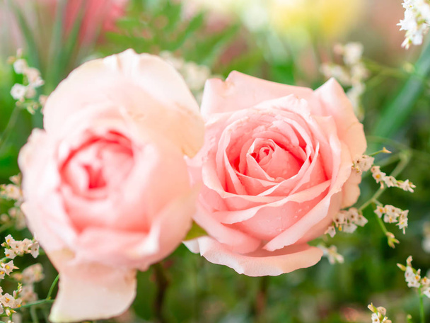 Крупним планом рожева квітка троянди на зеленому фоні
. - Фото, зображення
