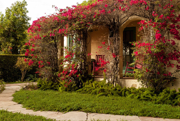 Porche de entrada a casa Santa Barbara con vid floreciente
 - Foto, Imagen