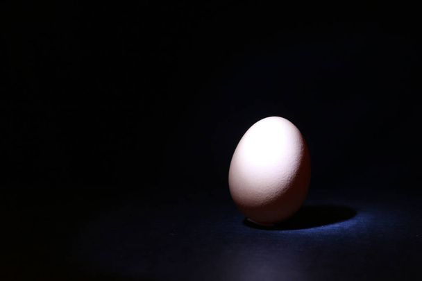 one egg stands on a dark background lighted by light. personifies loneliness - Photo, image