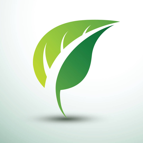 Green leaf icon logo eco concept ,vector illustration - Vector, imagen