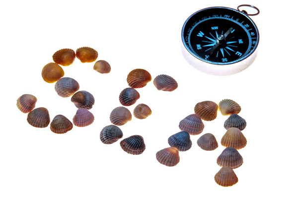 Brújula y la palabra Mar se colocan de conchas marinas sobre un fondo blanco. Concepto de ocio, vacaciones, viajes. Aislado sobre blanco
. - Foto, imagen