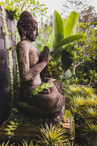 Velké kamenné sochy Buddhy v balijské zahradě - Fotografie, Obrázek