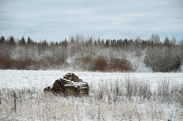 Russia. Karelia. Nature in the village of Kinerma in Karelia. November 16, 2017 - Zdjęcie, obraz