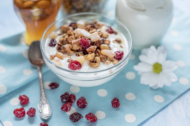 Homemade yoghurt, granola, cereal grains, honey in jars on a gentle blue background. Healthy healthy food. - Фото, изображение