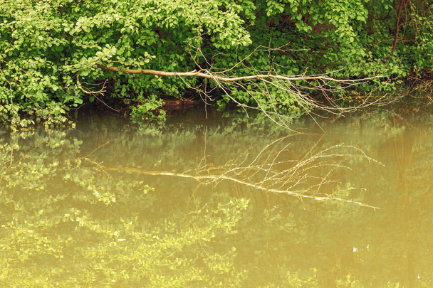 Spiegelungen im Fluss Loing in Montargis - Foto, Bild