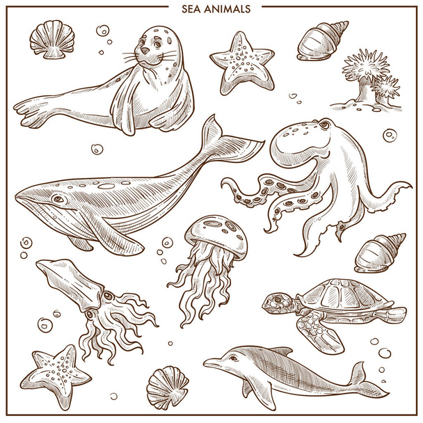 Sea or ocean animals and fishes sketch.  - Vector, Imagen