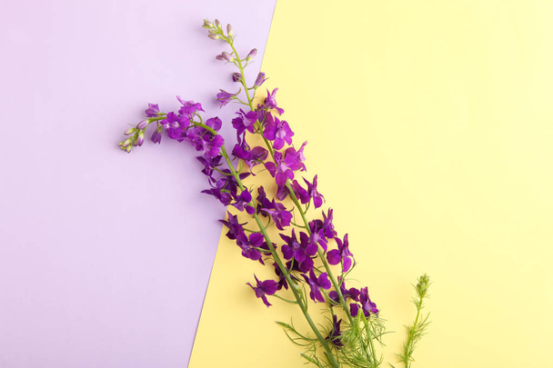 Красивий букет з фіолетових квітів на жовтому і фіолетовому тлі. Вид зверху
. - Фото, зображення