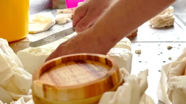 Proceso de producción de queso en la fábrica de lácteos, 4k Video Clip
 - Metraje, vídeo