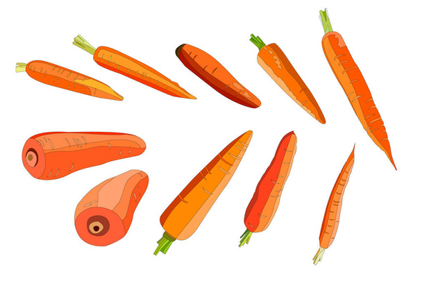 Ilustración de 10 zanahorias de varias formas y colores
 - Vector, Imagen