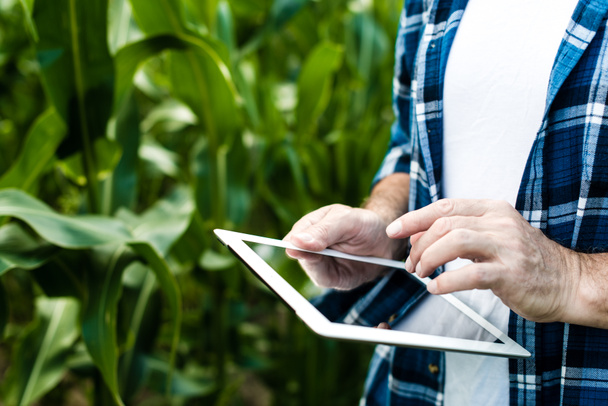 Farmář v poli zobrazeno tabletu, detailní Foto - Fotografie, Obrázek