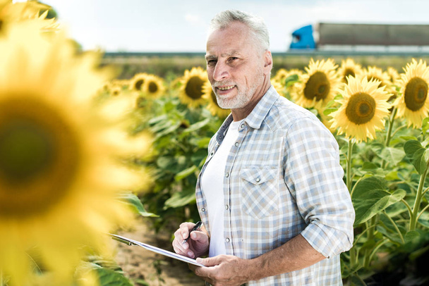 senior man making notes on sunflower field  - Photo, Image