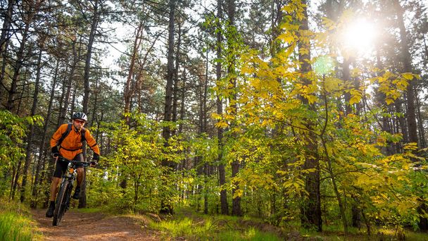 Pyöräilijä Orange Riding the Mountain Bike on the Trail in the Beautiful Fairy Pine Forest Lit by Bright Sun. Seikkailu ja matka käsite
. - Valokuva, kuva