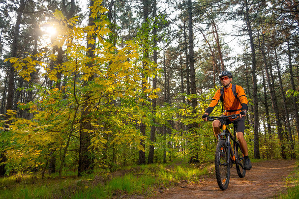 Ποδηλάτης σε πορτοκαλί ιππασίας το ποδήλατο βουνού στο μονοπάτι για το όμορφο πευκόφυτο δάσος νεράιδα φωτίζονται από φωτεινή Κυρ περιπέτεια και ταξιδιωτικών έννοια. - Φωτογραφία, εικόνα