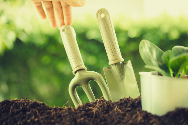 Planting a small plant on a pile of soil with Gardening tools  on green bokeh background. - Foto, imagen