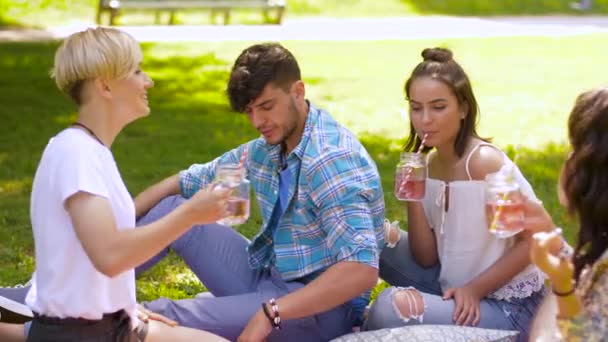 szczęśliwy przyjaciele brzęk napoje w lato park - Materiał filmowy, wideo