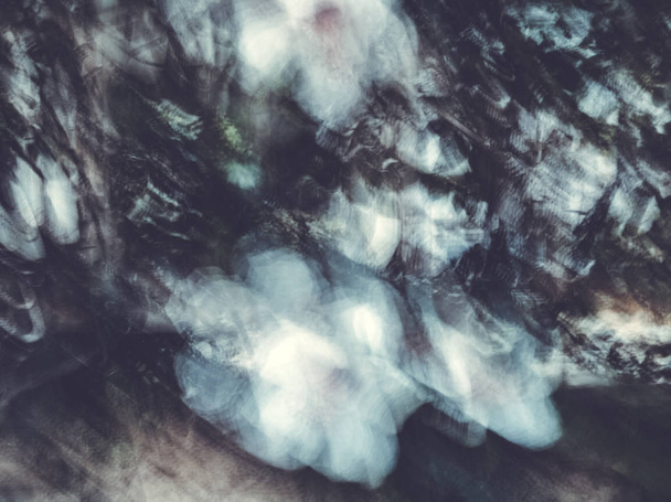 Spring blurred flowers. Abstract motion blur effect - Fotoğraf, Görsel