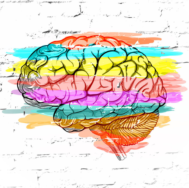Абстрактный человеческий мозг, окрашенный в полоску, прислоненную к белой кирпичной стене, как выражение различных эмоций и мыслей. Векторная иллюстрация
 - Вектор,изображение