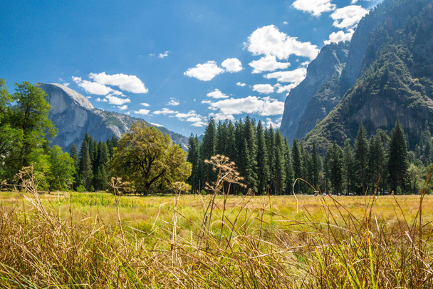 Güzellik Yosemite Milli Parkı'nda-Ca, Usa - Fotoğraf, Görsel
