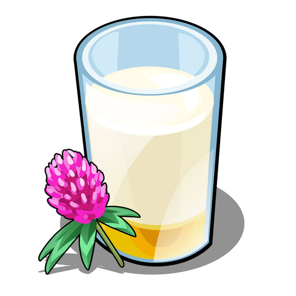 A glass of milk and honey made from clover isolated on white background. Delicious and healthy food. Vector cartoon close-up illustration. - Вектор, зображення