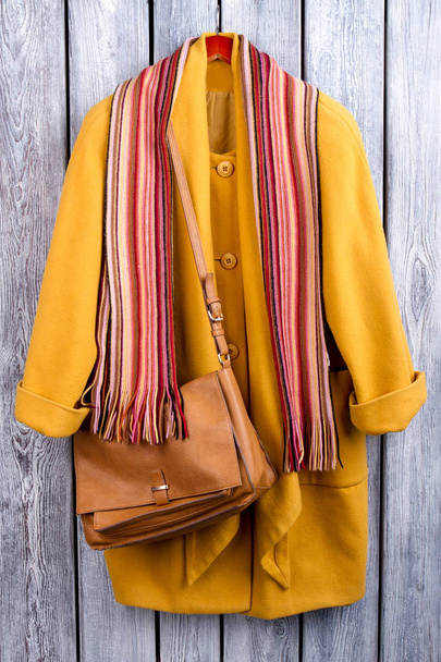 Χειμερινό ντύσιμο, ριγέ κασκόλ και τσάντα. - Φωτογραφία, εικόνα