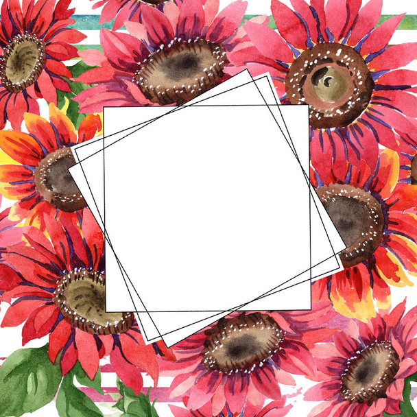 Wildflower red sunflower flower in a watercolor style. Frame border ornament square. Full name of the plant: sunflower. Aquarelle wildflower for background, texture, wrapper pattern, frame or border. - Fotó, kép