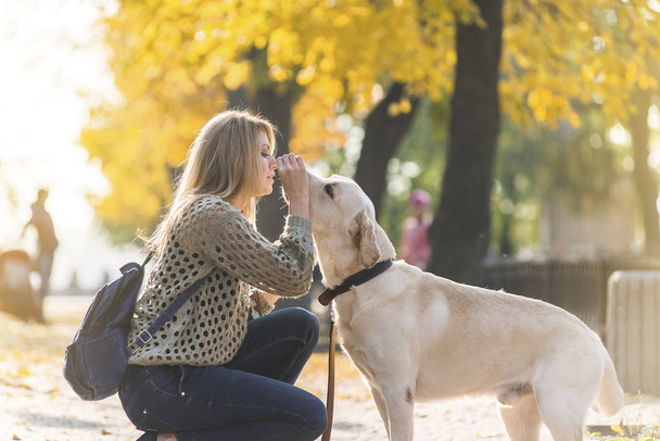 Una joven rubia se agachó junto a su mascota Labrador para dar un paseo por el parque en otoño
. - Foto, imagen