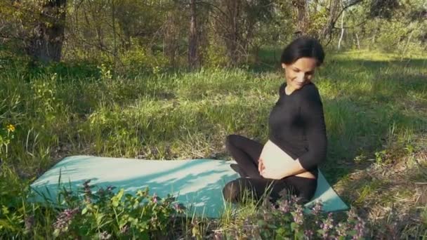 妊娠中の女性が草の上に座って彼女の赤ちゃんのお腹をなでる - 映像、動画