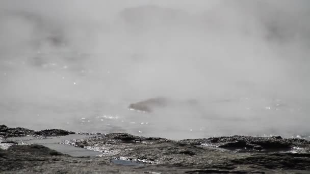 Geysir destrict w Islandii. Gejzer Strokkur wybucha w obszarze geotermalnych Haukadalur, częścią Złotego koła trasy w Islandii. Gejzer Strokkur Geysir na południowo zachodniej Islandii. Sławnej siły przyciągania turysty Geysir na trasie 35. - Materiał filmowy, wideo
