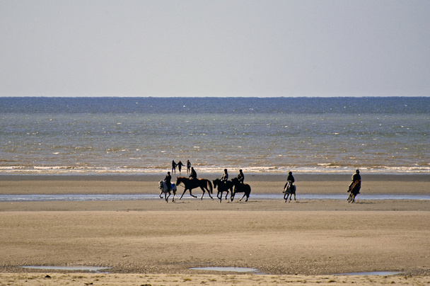 Cavaliers sur la plage
 - Photo, image