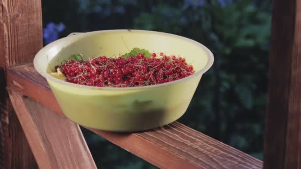 Capacidade com uma colheita de groselhas vermelhas no corrimão do pórtico
 - Filmagem, Vídeo