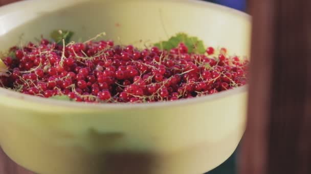 Capacidade com uma colheita de groselhas vermelhas no corrimão do pórtico
 - Filmagem, Vídeo