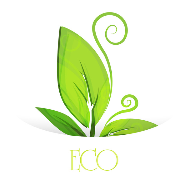 eco leaves. vector design - Vektor, Bild