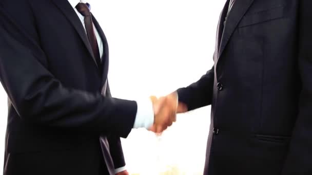 Twee zakenmannen schudden elkaar de hand - Video